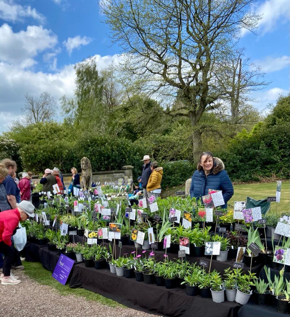 Sandon Hall Plant Stalls