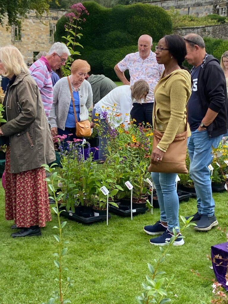 Plant stalls at Sandon Hall
