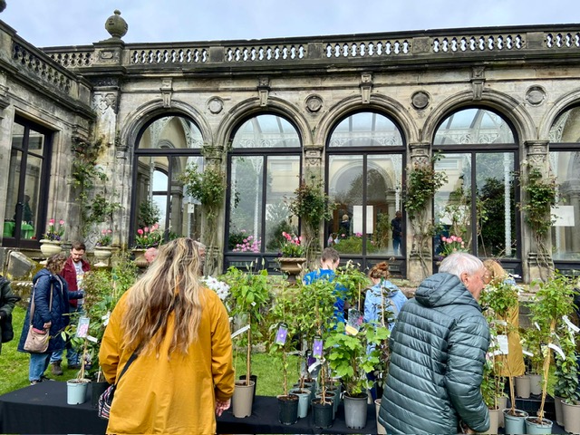 Sandon Hall Plant Fair outside the conservatory